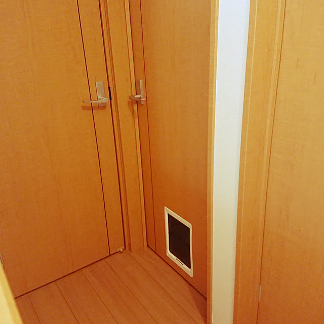 noguriさんの実例写真