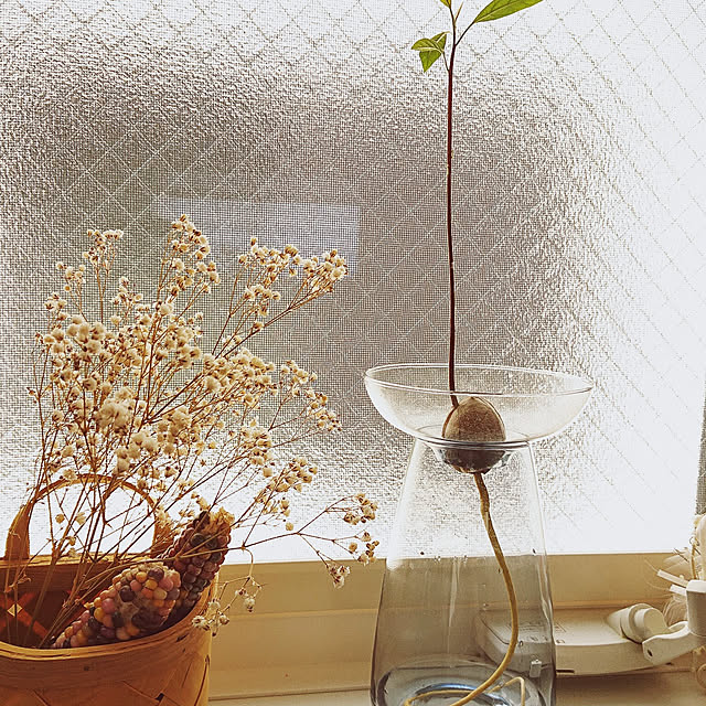 natu_noさんの実例写真