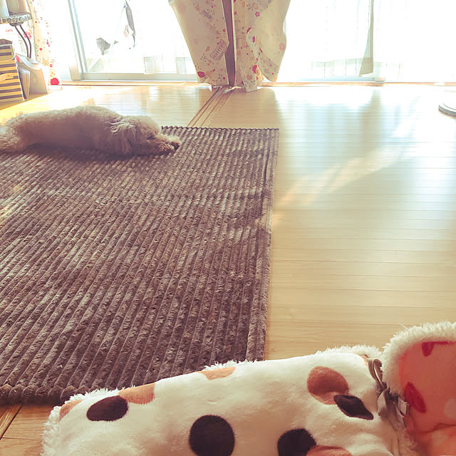 makkoさんの実例写真