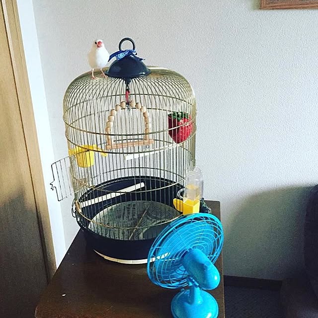 Ishiharaさんの実例写真