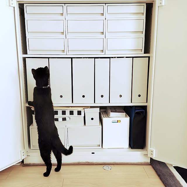 sakuraさんの部屋