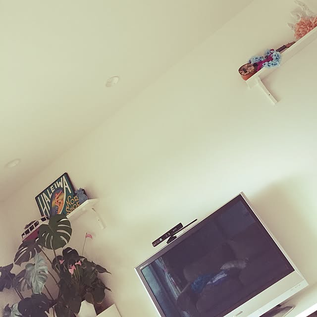 Kailaさんの実例写真