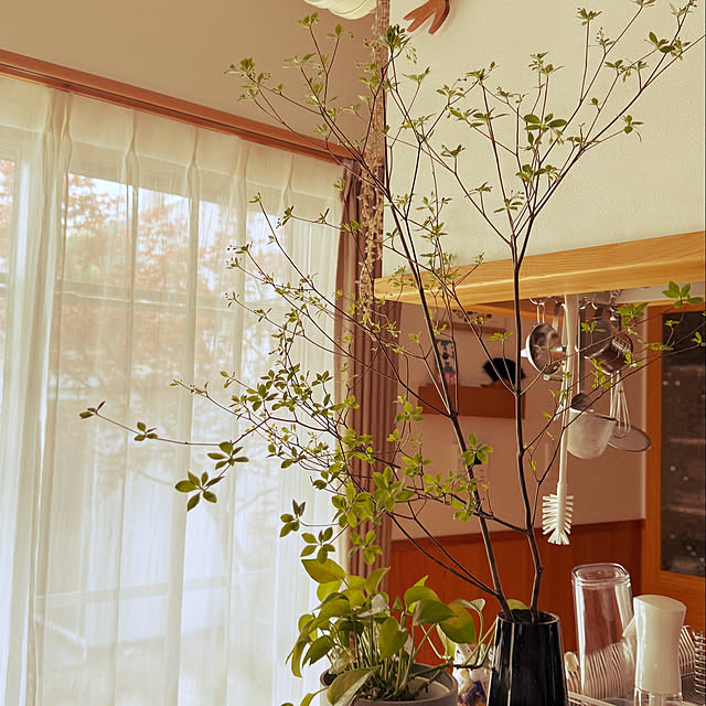 wakaba223さんの実例写真