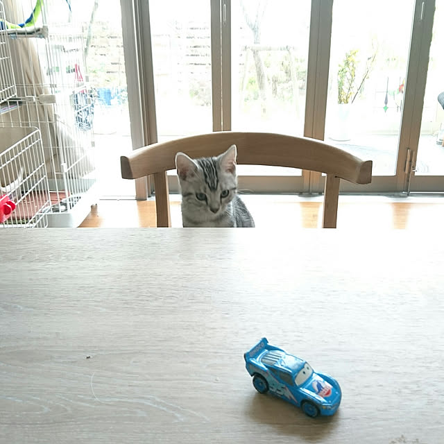 asmaさんの実例写真