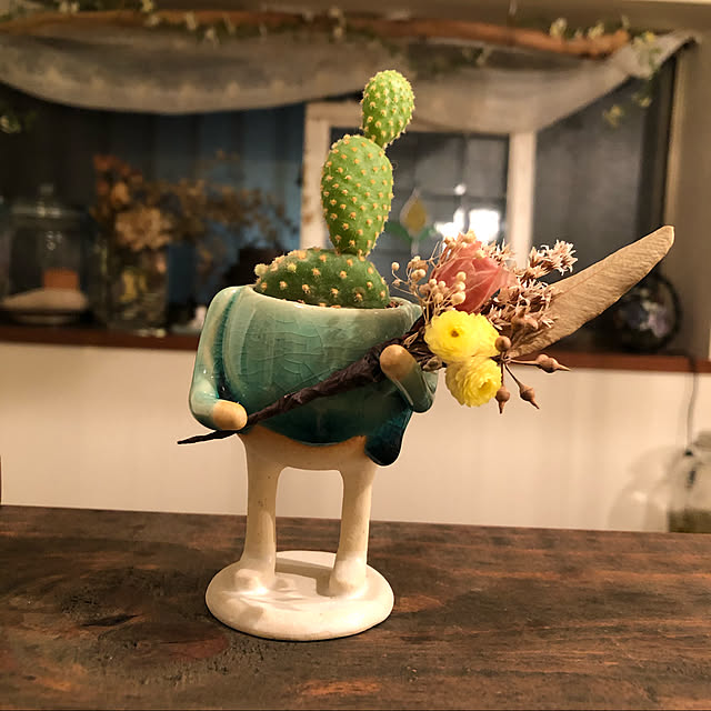 ＃多肉植物/多肉植物/キッチンのインテリア実例 - 2020-08-12 22:26:45