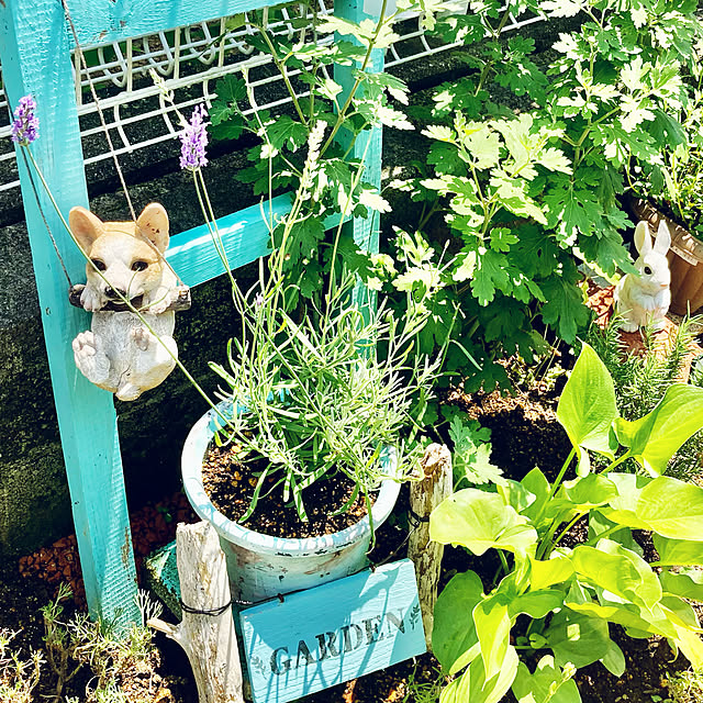 CoCo0617さんの実例写真
