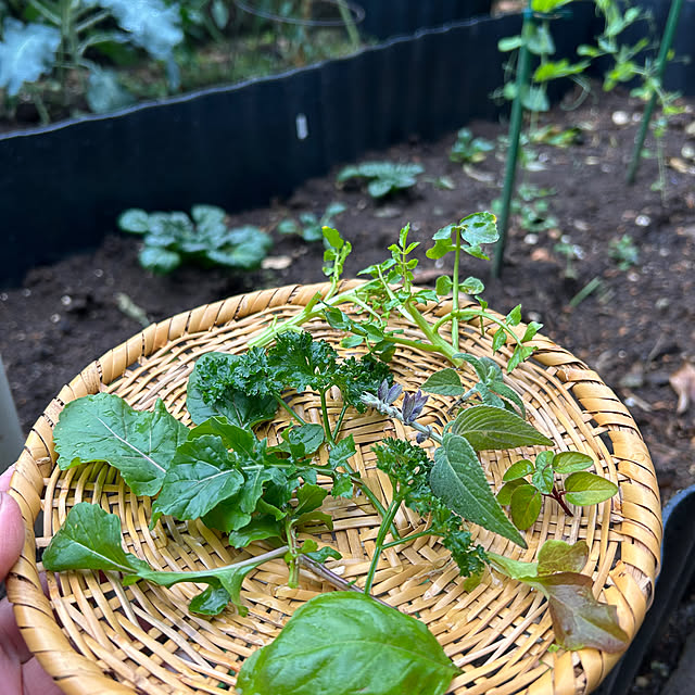 botanさんの部屋