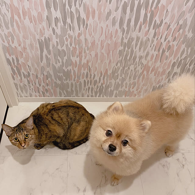 maruさんの実例写真