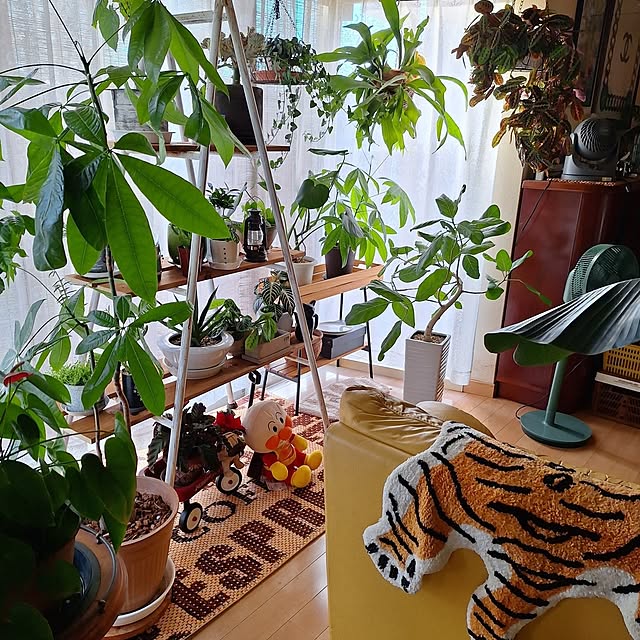SENAさんの部屋