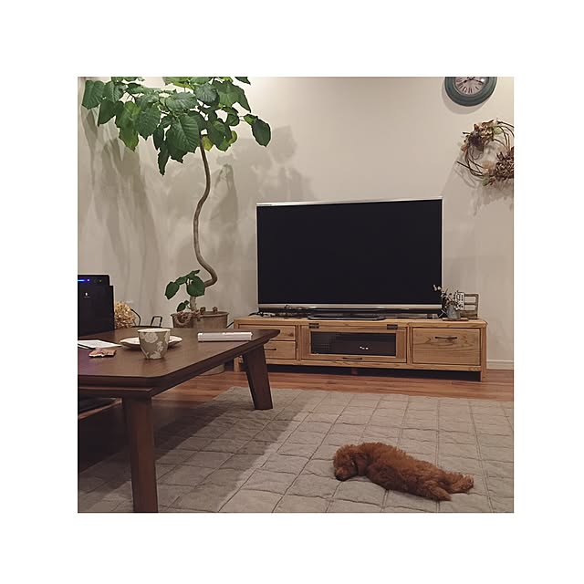 chihooo.sさんの実例写真