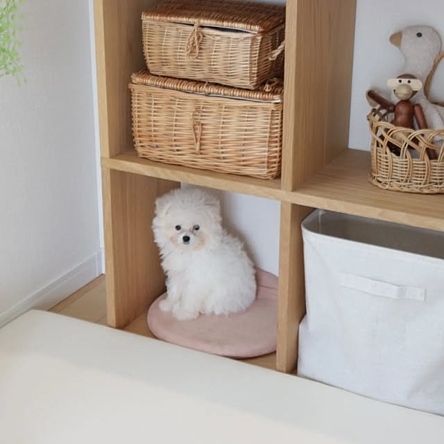 manaさんの部屋