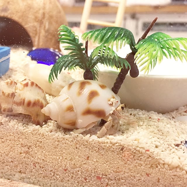 Yukoさんの実例写真