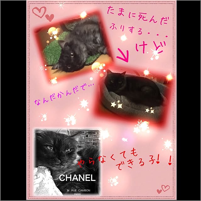 maria.rさんの実例写真