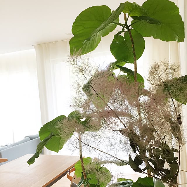 a.n.さんの実例写真