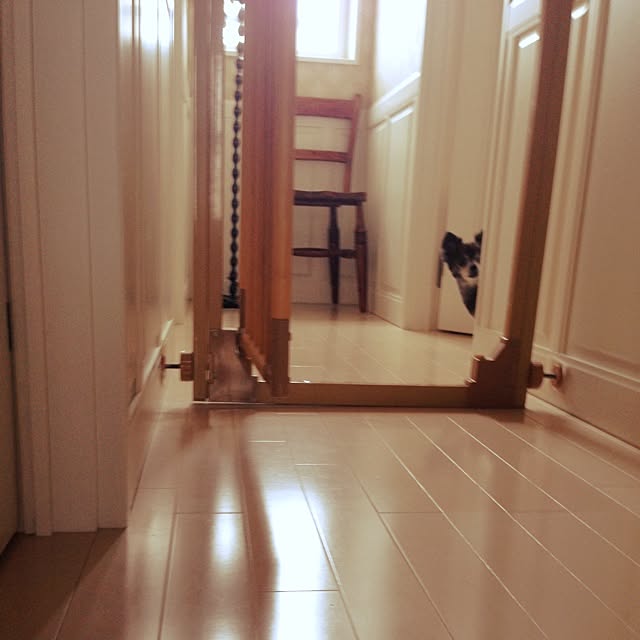 k31k0さんの実例写真