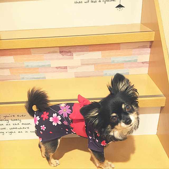 cocoさんの実例写真
