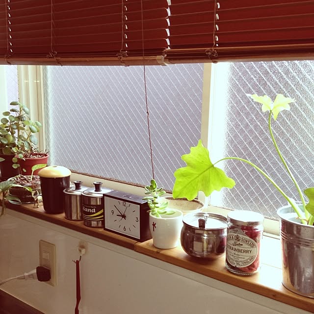 botanさんの実例写真
