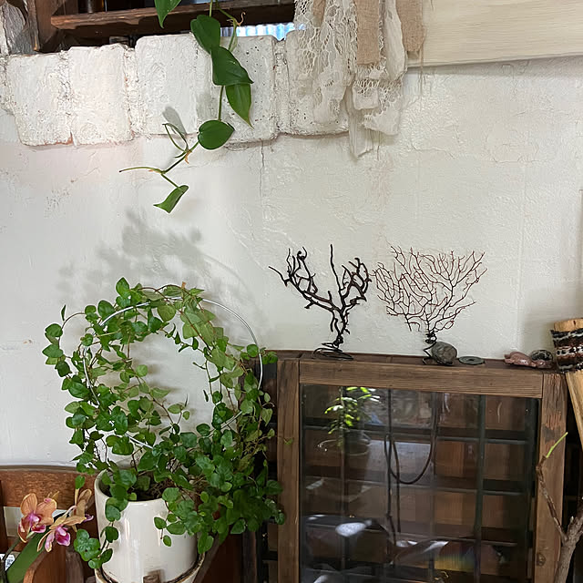 ganchan_0910さんの部屋