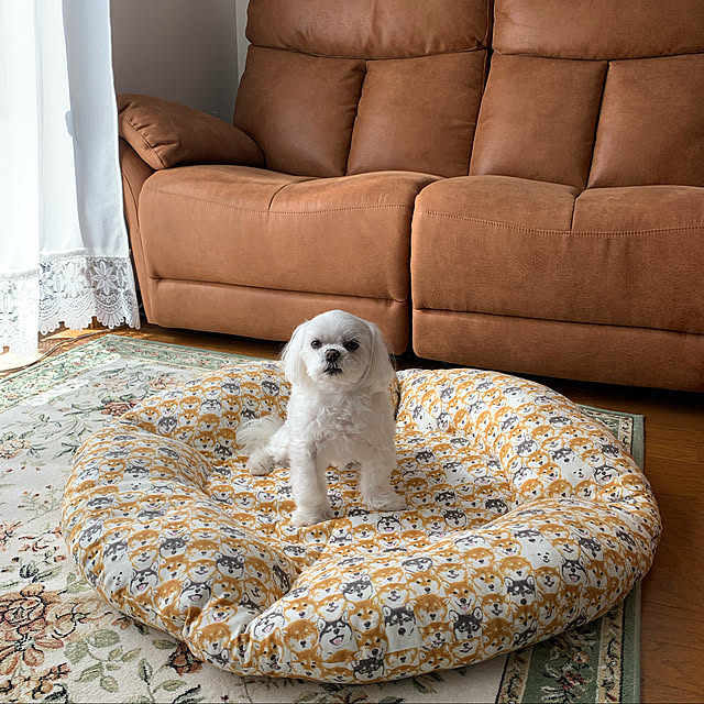 ponyoさんの実例写真
