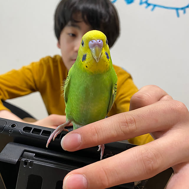 ohanaさんの部屋