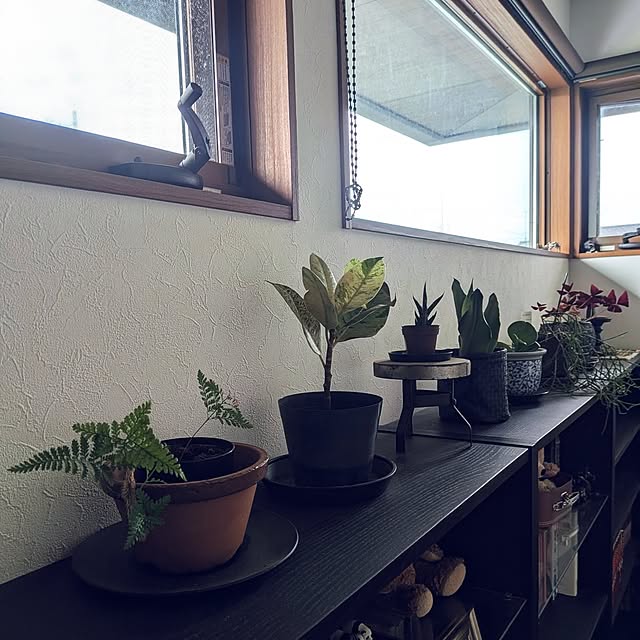 matthewさんの部屋