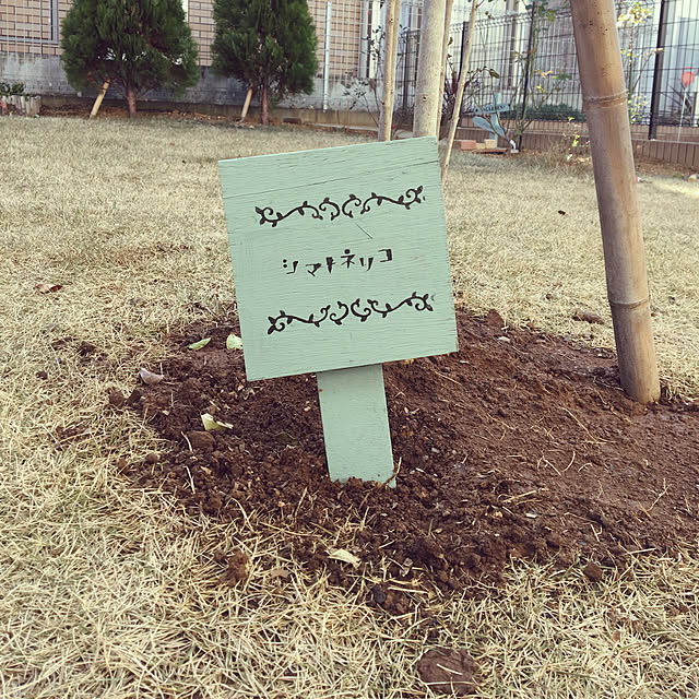 machiさんの実例写真