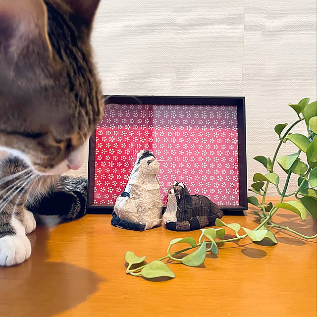 nobikoさんの実例写真