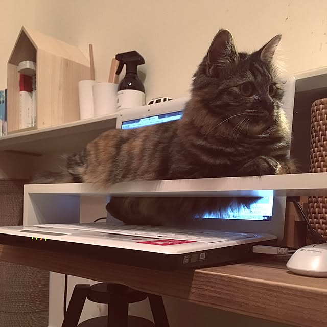 mikomaruさんの実例写真