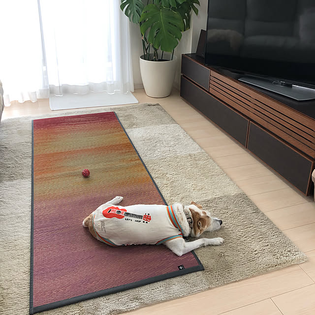 konaさんの実例写真