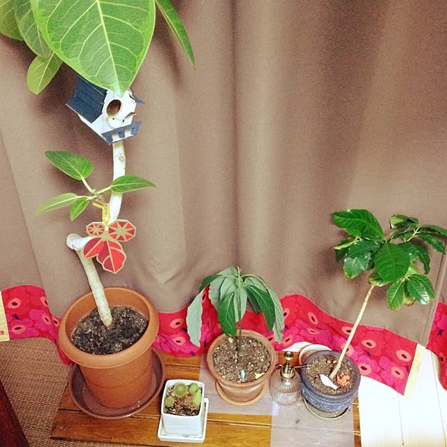 kan_chanさんの実例写真