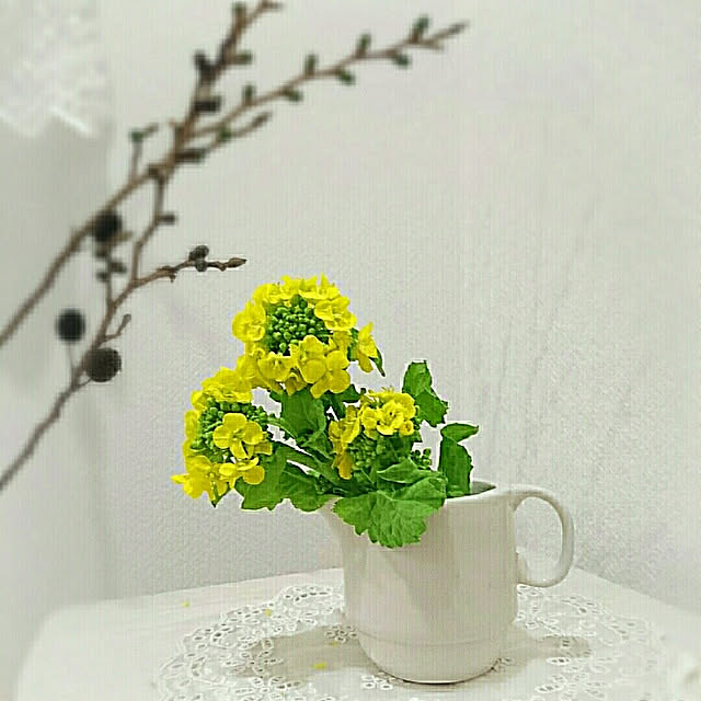 YuriYuriさんの実例写真