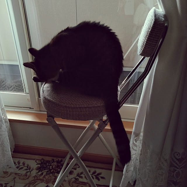 lilyさんの実例写真