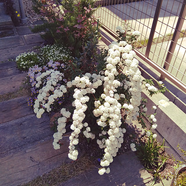 Ruii25さんの実例写真