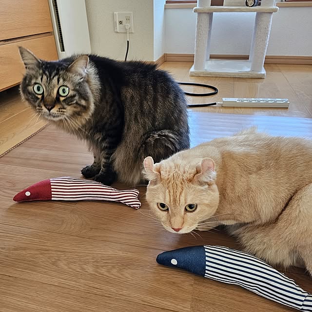makoさんの部屋
