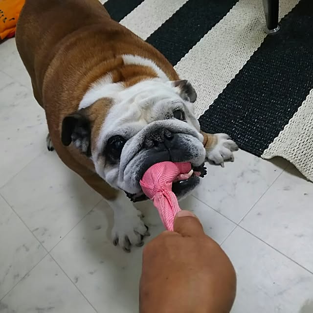 AandPさんの実例写真