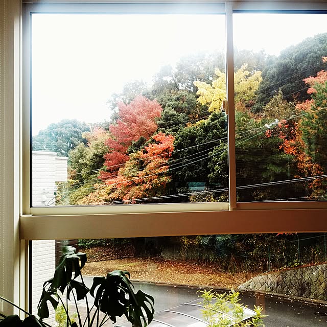 noriさんの実例写真