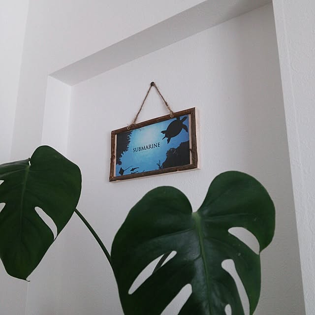 R.pyokoさんの実例写真