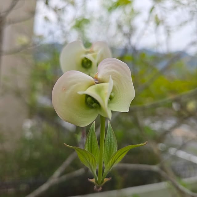 min_nimさんの実例写真