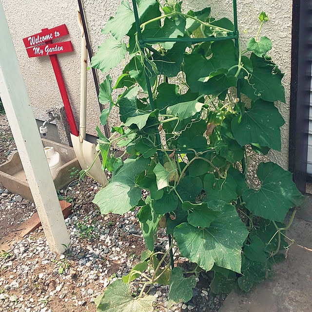 oseroさんの実例写真