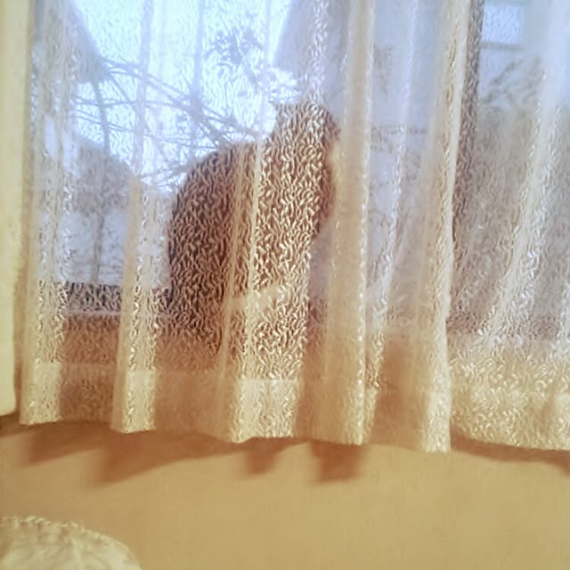 tomopさんの実例写真