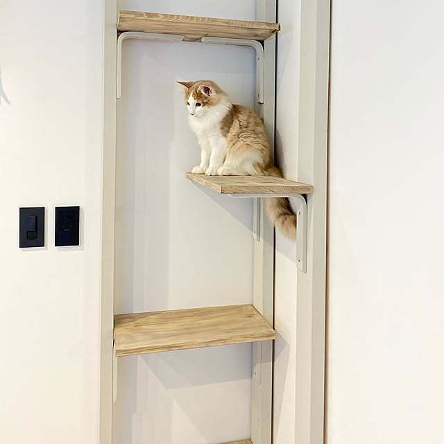 aaaaamichunさんの実例写真