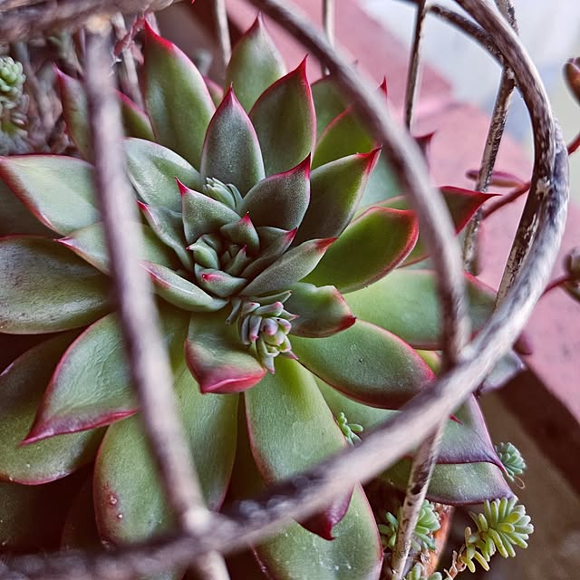 mocomocoさんの実例写真