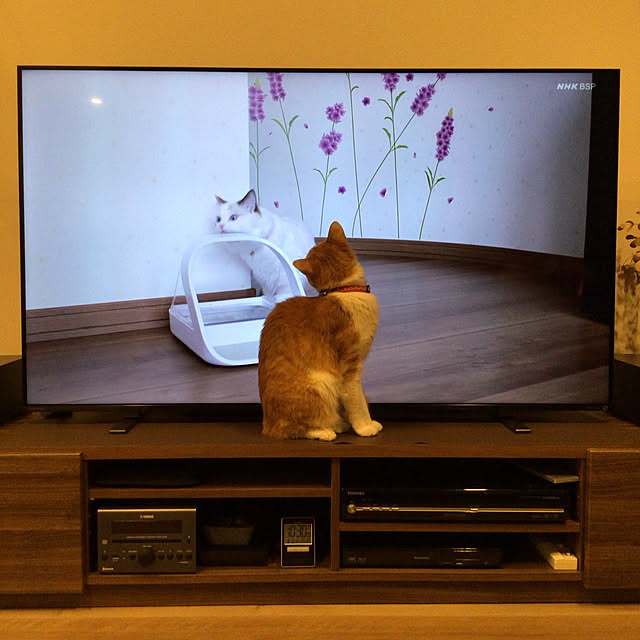 houenさんの実例写真