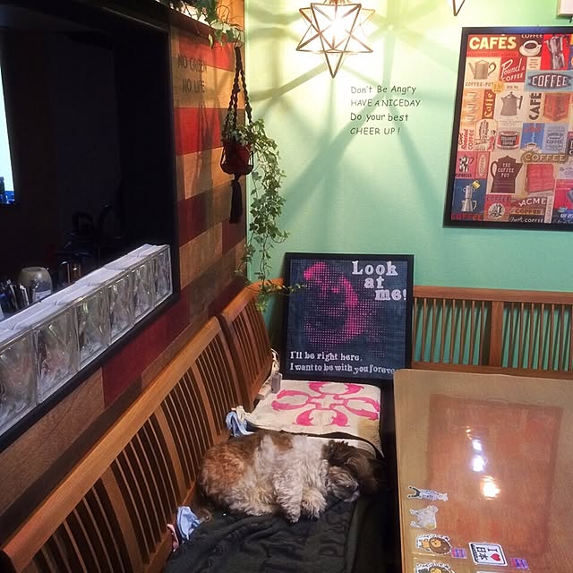 ANNAさんの実例写真