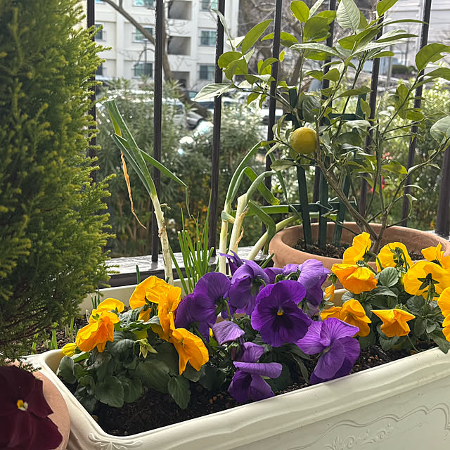 syutmmさんの部屋