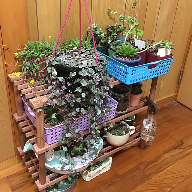 CHIROさんの実例写真