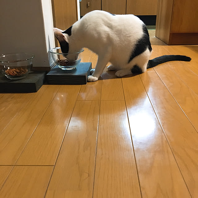 nobikoさんの実例写真
