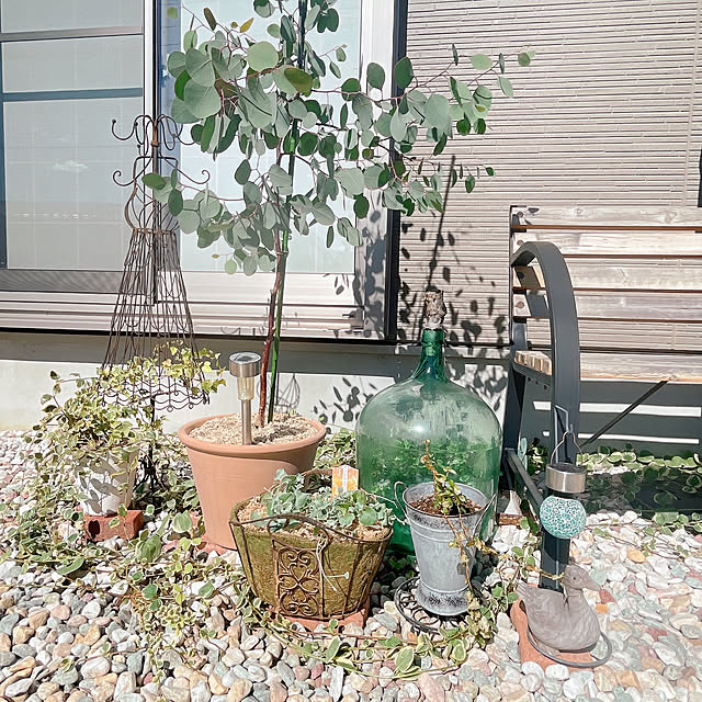 akiko-ovさんの部屋