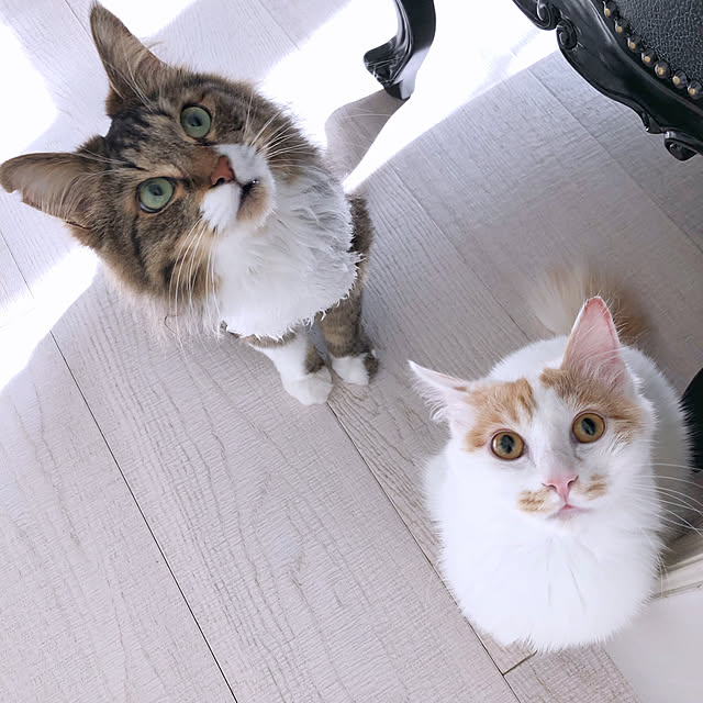 yuchiさんの実例写真