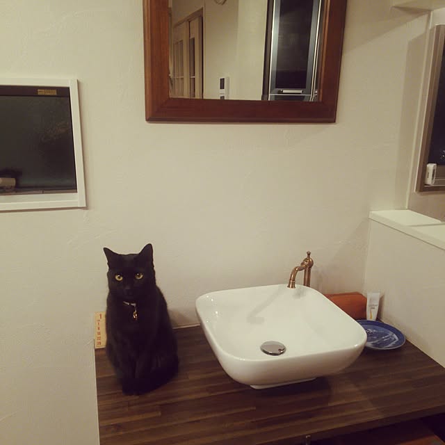 ramoraさんの実例写真